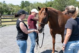 LR-WRF 08022025-Retreat-3154